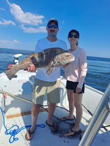 A large black drum fish caught while fishing in TX