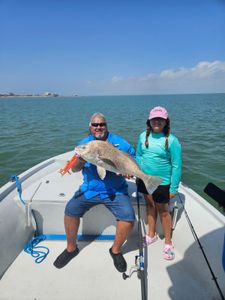 Caught a 24-inch Black Drum in TX