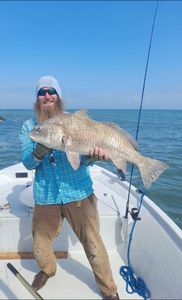 A Black Drum fish caught fishing in TX