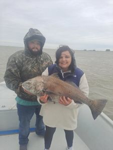 Photo of a black drum fish caught by 2 people in TX