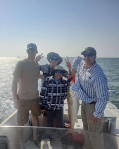 Bluefish caught while fishing in TX