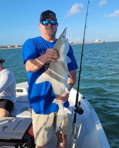 Bonnethead shark caught fishing in Port O'Connor