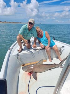 A bonnethead shark, a 35-inch fishing catch, in TX