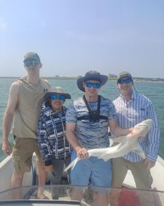Bonnethead shark, fishing in TX