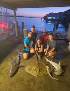 2 bonnethead sharks caught while fishing in TX