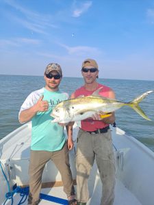 Crevalle Jack fish caught on fishing trip in TX