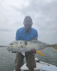 Crevalle Jack fish caught in Port O'Connor