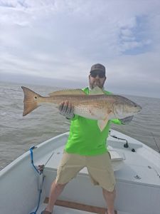 A fisherman catches a large redfish in TX.