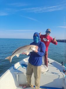 A single redfish caught in Port O'Connor