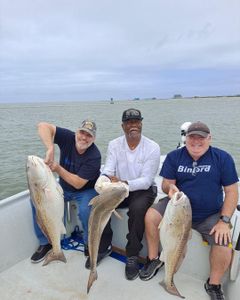 Three redfish caught in Port O'Connor