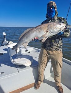 Redfish caught in Port O'Connor