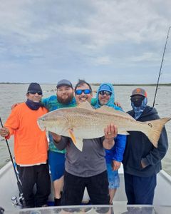 Redfish caught while fishing in TX