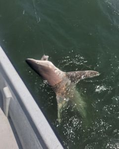 Scenic view of TX landscape during fishing trip
