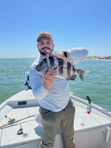 A 17-inch sheepshead fish caught while fishing in Port O'Connor