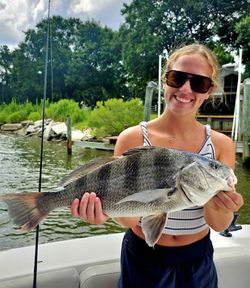 Black Drum fishing in Orange Beach