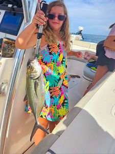 A photo of a blue runner fish caught while fishing in AL.