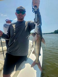 Angler holding caught fish on fishing boat in Orange Beach AL waters