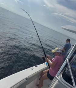 Angler fishing in Orange Beach