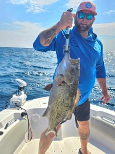Gag grouper caught fishing in Orange Beach AL displayed on boat deck
