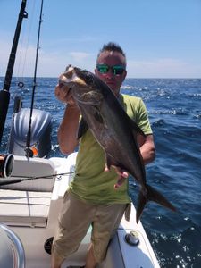 Greater amberjack catch on fishing boat in Orange Beach Alabama waters