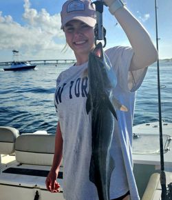 A lingcod caught while fishing in Orange Beach