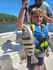 Black drum catch on fishing boat in Orange Beach Alabama waters