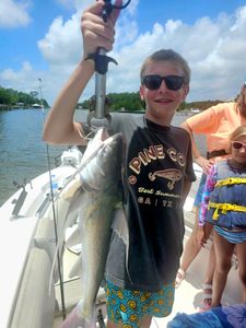 Fresh caught fish displayed on boat in Orange Beach AL