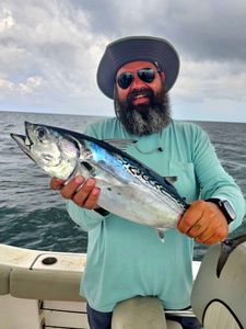 Little Tunny caught fishing in Orange Beach AL
