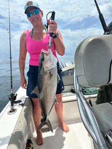 Longfin Yellowtail caught fishing in Orange Beach AL on boat deck