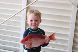 Red snapper catch from Orange Beach AL fishing trip