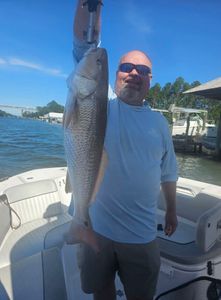Large redfish caught during fishing trip in Orange Beach AL