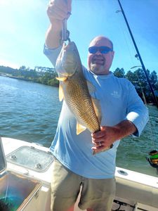 Angler holding large redfish on fishing boat in Orange Beach Alabama waters