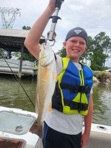 Redfish caught while fishing in Orange Beach Alabama
