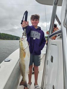 Redfish caught while fishing in Orange Beach AL on boat