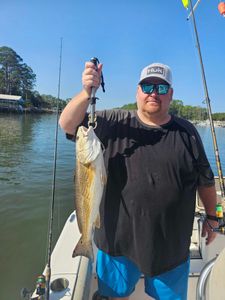 Redfish catch displayed on fishing boat in Orange Beach AL