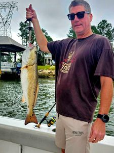 Redfish caught while fishing in Orange Beach AL