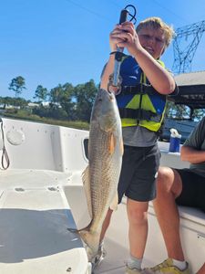 Redfish caught while fishing in Orange Beach Alabama
