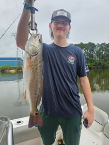 Redfish caught fishing in Orange Beach AL displayed on boat