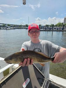 Redfish caught while fishing in Orange Beach Alabama