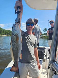 Redfish caught while fishing in Orange Beach AL