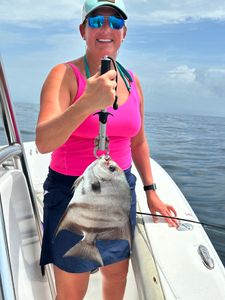 Spadefish caught on fishing charter boat in Orange Beach Alabama