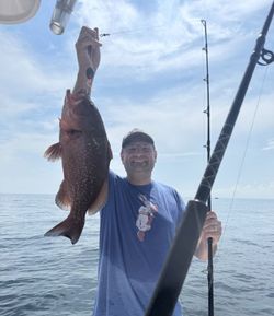 Red Grouper fish caught in Orange Beach