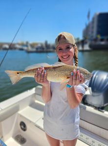 Redfish caught in AL
