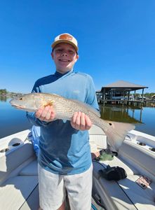Redfish caught on fishing trip in AL
