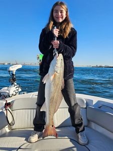 Redfish caught in Orange Beach