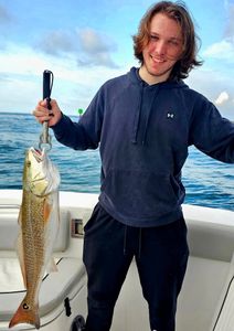 Redfish caught in Orange Beach