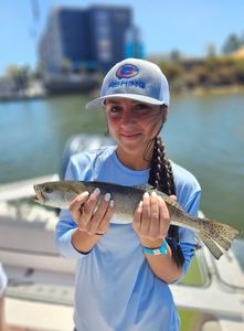 Spotted Weakfish, 16 inches, caught while fishing in Orange Beach