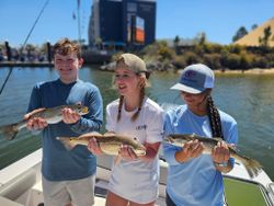 3 Spotted Weakfish and Redfish caught in AL