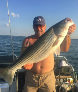 Double The Fun, Double The Size! Striped Bass