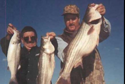 Lake Texoma Fishing Charters: Your Voyage to fun! 